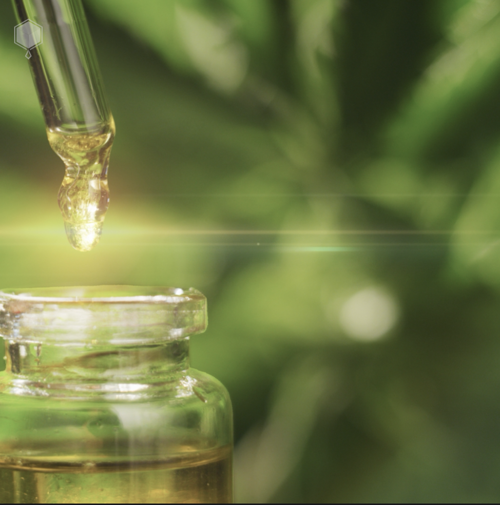 Extração de CBD via CO2